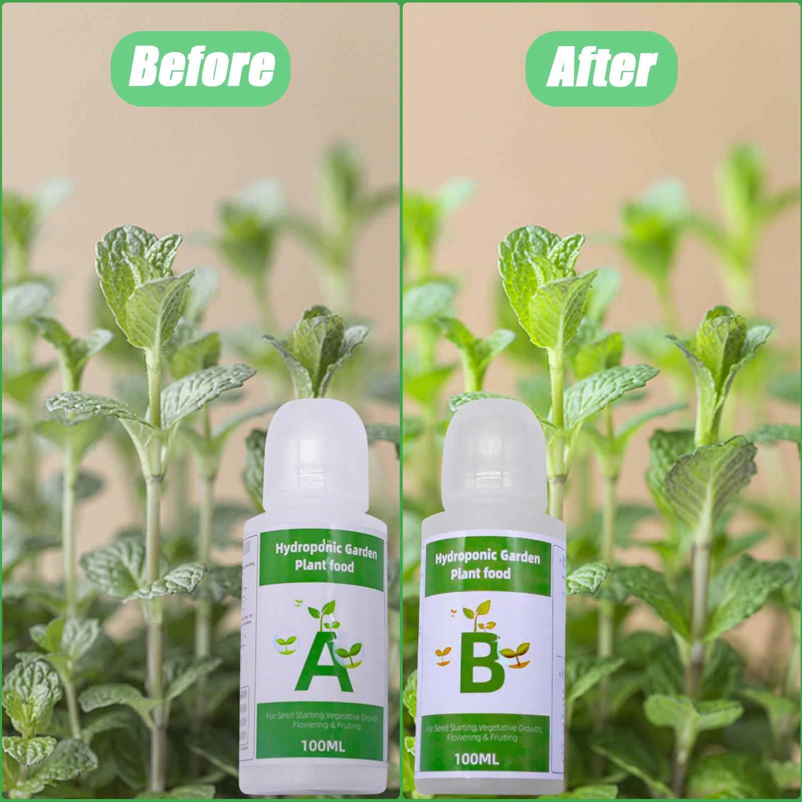 Hydroponic Nutrients Fertilize - Nutrient Solution Ab review and price