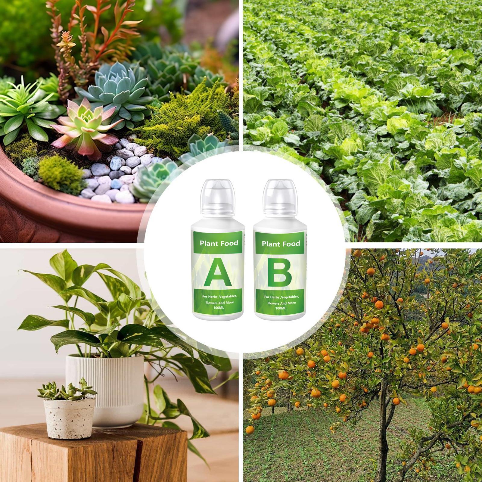 Hydroponic Nutrients Fertilize - Nutrient Solution Ab review and price