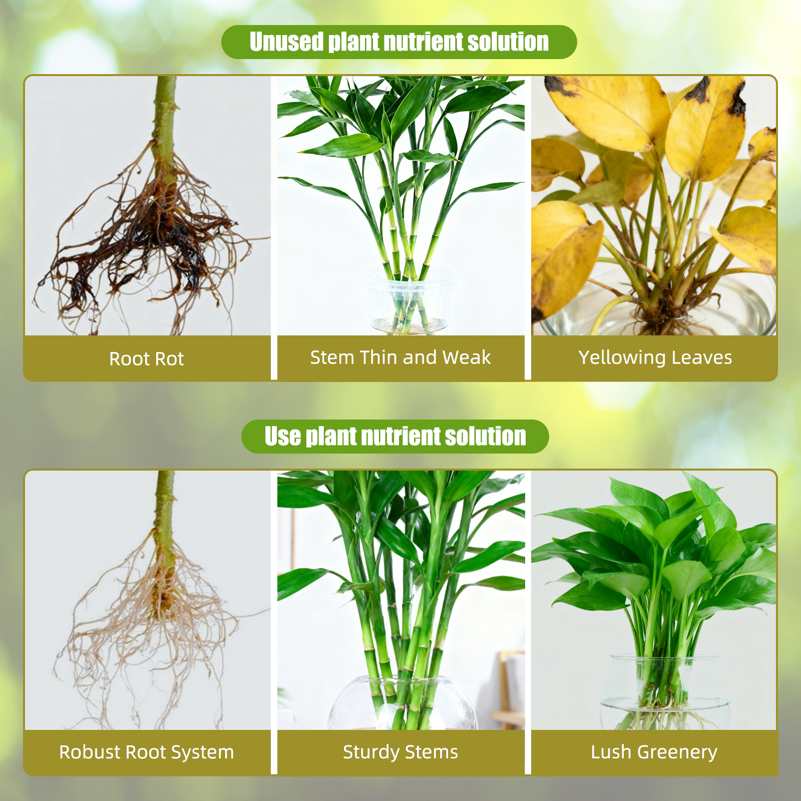 Hydroponic Nutrient Solution A - Nutrient Solution Ab review and price