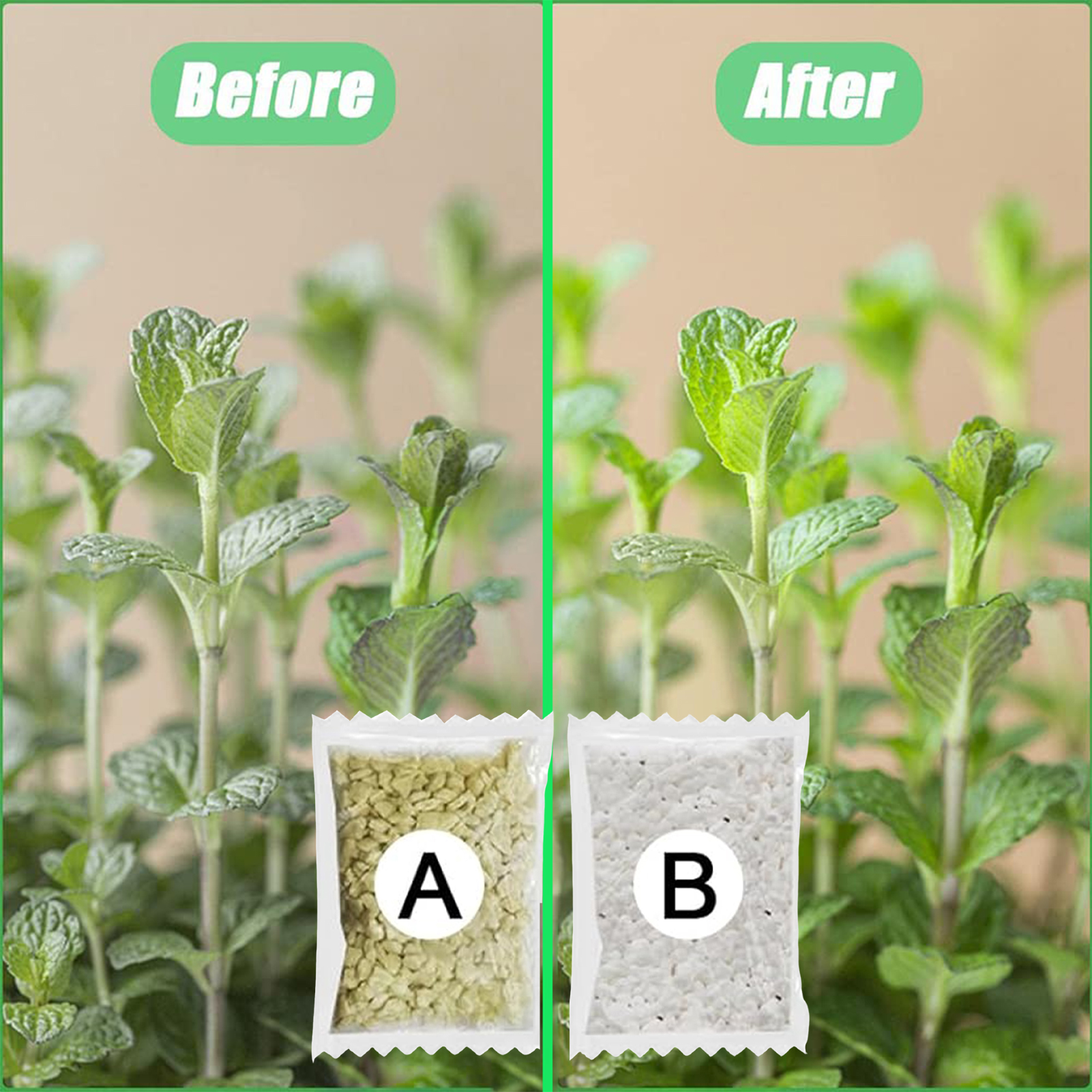 Hydroponic Nutrients Fertilize - Nutrient Solution Ab review and price
