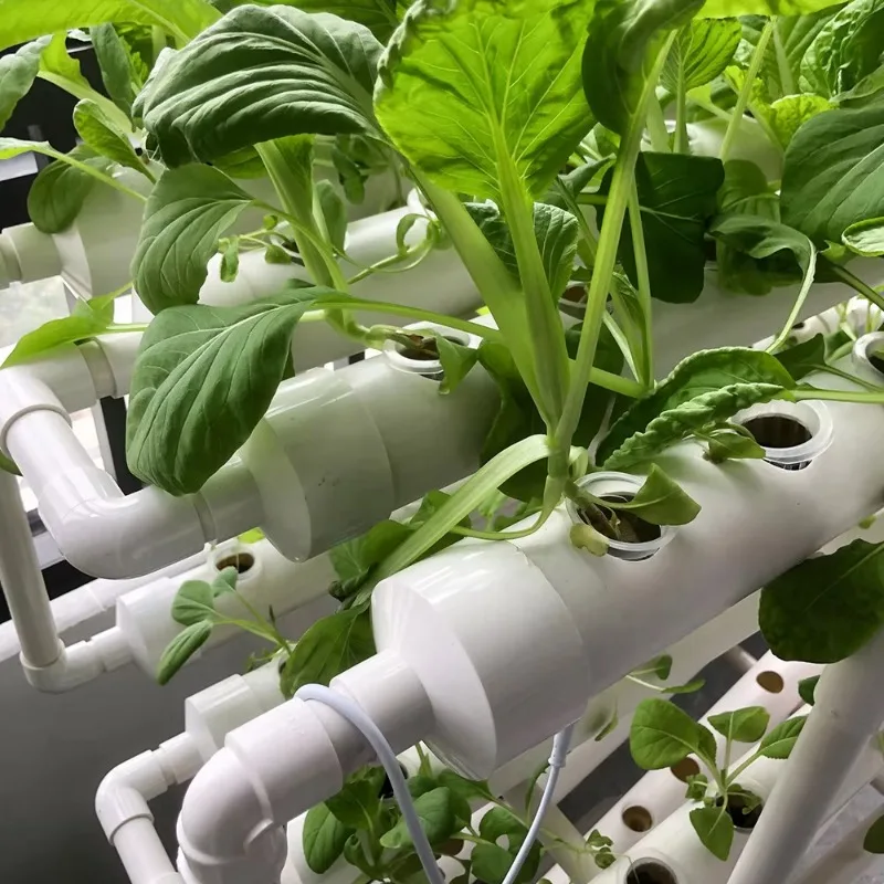 Hydroponic NFT Tube System – V - Urban Farming Vertical review and price
